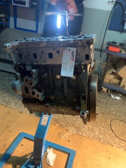 FIAT – Punto Evo – 1.3 Mjt 75CV DPF 5p. S&S Act. pieno