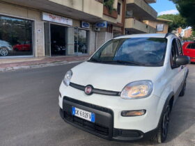 FIAT – Panda – 1.0 FireFly S&S Hybrid City Life