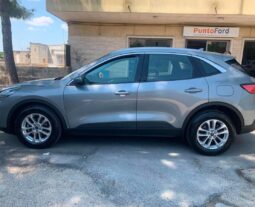 FORD – Kuga – 1.5 EcoBlue 120CV S&S 2WD Titan. Bus. pieno