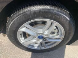 FORD – Focus Station Wagon – Focus 1.5 EcoBlue 120CV SW Business pieno