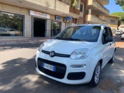 FIAT – Panda –  1.2 Easy pieno
