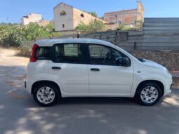 FIAT – Panda –  1.2 Easy pieno